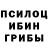 Псилоцибиновые грибы ЛСД Adler_ch