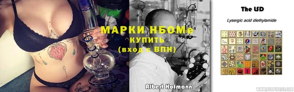 ГАЛЛЮЦИНОГЕННЫЕ ГРИБЫ Лагань