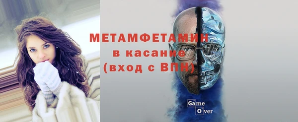 ГАЛЛЮЦИНОГЕННЫЕ ГРИБЫ Лагань
