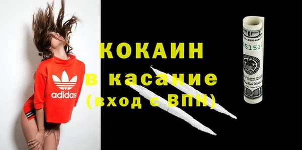 ГАЛЛЮЦИНОГЕННЫЕ ГРИБЫ Лагань