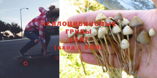 дмт Лихославль